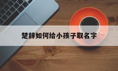 楚辞如何给小孩子取名字_(楚辞如何给小孩子取名字呢)