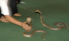 梦见给舅妈烟抽烟了_(梦见给舅妈烟抽烟了怎么回事)