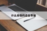 什么命格的适合养猫_(什么命格的适合养猫呢)