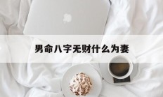男命八字无财什么为妻_(男命八字无财星怎么看妻子情况)