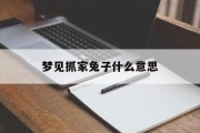 梦见抓家兔子什么意思_(梦见抓家兔子什么意思周公解梦)