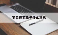梦见抓家兔子什么意思_(梦见抓家兔子什么意思周公解梦)