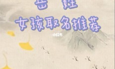 岳姓男孩起名寓意好吗_(2021岳姓男宝宝取名)