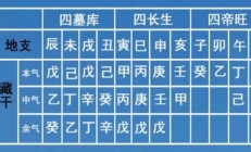 男命八字地支藏干合多(男命地支藏财)