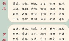 用琪字如何取名男孩名字_(琪字好听的男孩子名)