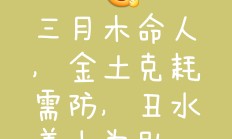 木命的带什么增加财运(木命佩戴什么饰品旺财)