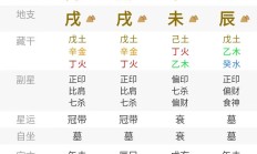 八字全阳男命无子女好吗(八字全阳男人)