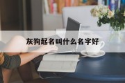 灰狗起名叫什么名字好_(灰色狗取名招财吉利名字)