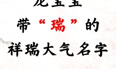 起名带瑞用哪个瑞好(带瑞的好听名字)