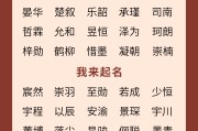 起名字十三笔怎么起的好(姓名笔画13笔的字有哪些)