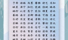 起名字十三笔怎么起的好(13笔适合取名字有哪些)