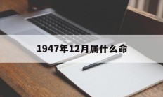 1947年12月属什么命_(1947年12月10日的农历是多少)