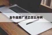 金牛座原厂滤芯怎么样啊_(金牛座汽油滤芯是内置还是外置)