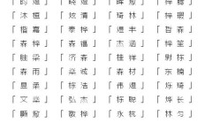 如何给男孩起名字带木_(男孩带木字寓意好的名字)