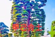 甲木命男养什么植物_(甲木命适合什么行业男人)