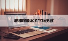 骏和暄能起名字吗男孩_(跟骏字搭配的名字)