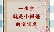 用箬起名什么寓意好听点_(用箬起名什么寓意好听点的)