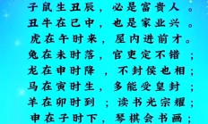 生肖马申时出生是什么命_(属马申时出生的男孩命运怎么样)