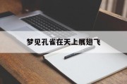 梦见孔雀在天上展翅飞_(梦见孔雀在天上展翅飞翔)