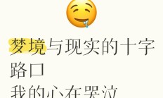 梦见儿子梦里哭了预示什么_(做梦梦见儿子哭了是怎么回事)