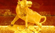 金命鼠戴什么招财辟邪(金命属鼠的人取什么名字好)