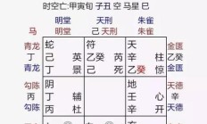 八字全阳的命格多见吗(八字全阳的女人命好不好)