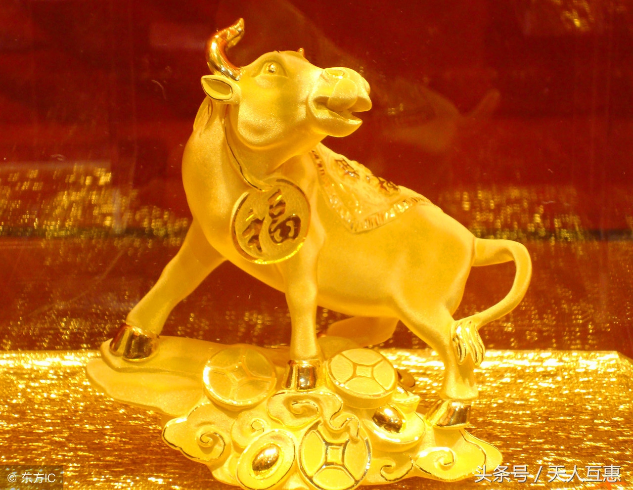 金命鼠戴什么招财辟邪(金命属鼠的人取什么名字好)