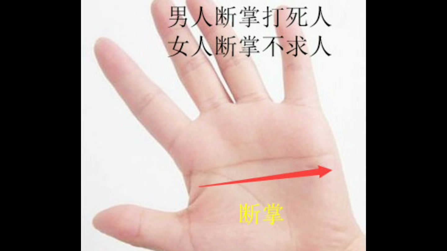 女人双手断掌是什么命啊(女人双手断掌是什么意思)