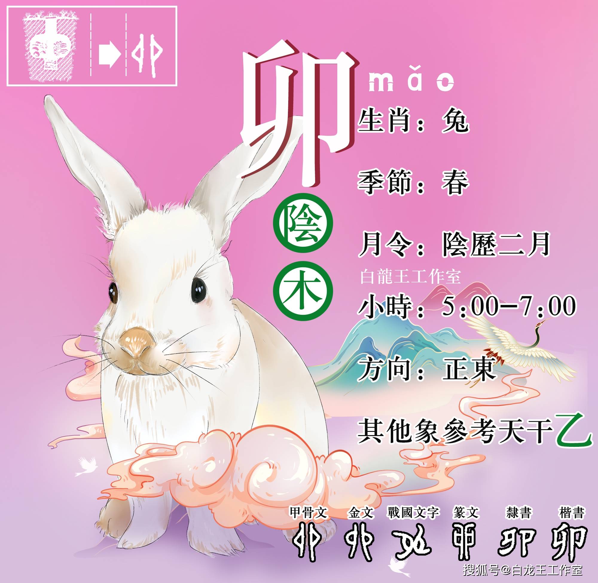 卯年生的孩子是什么命(卯年出生的是什么命)