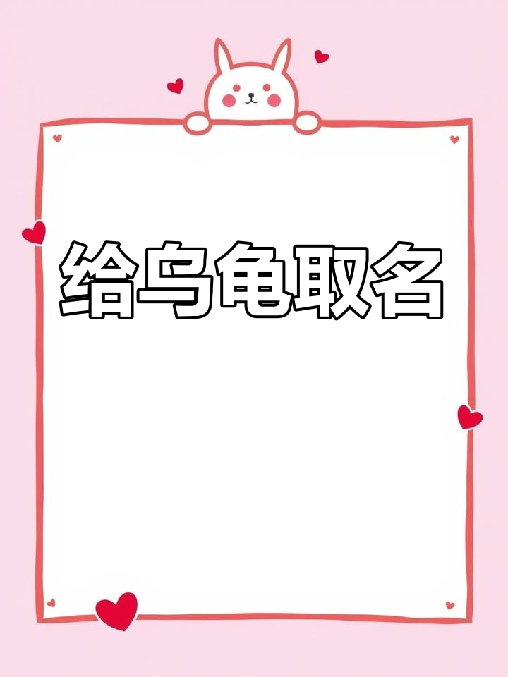 给乌龟起名字叫什么英文名好(乌龟名字可爱洋气英文)
