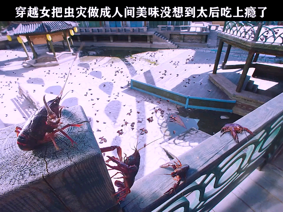 出马弟子梦见全是虫子在爬(出马仙梦到虫子身上有五个点)