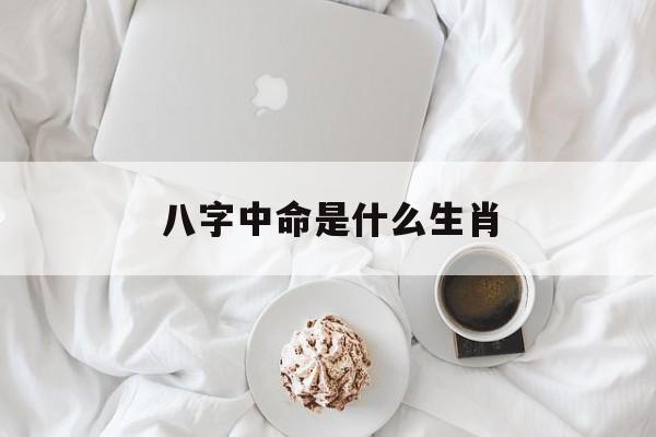 八字中命是什么生肖_(八字中命是什么生肖呢)