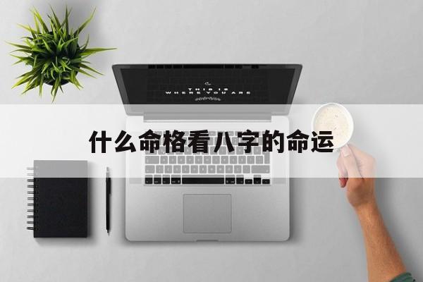 什么命格看八字的命运_(八字哪个是命格)