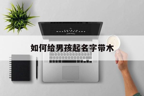 如何给男孩起名字带木_(男孩带木字洋气点的名字)