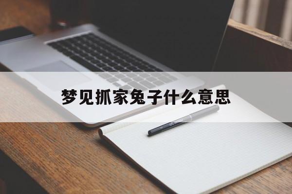 梦见抓家兔子什么意思_(梦见抓家兔子什么意思周公解梦)