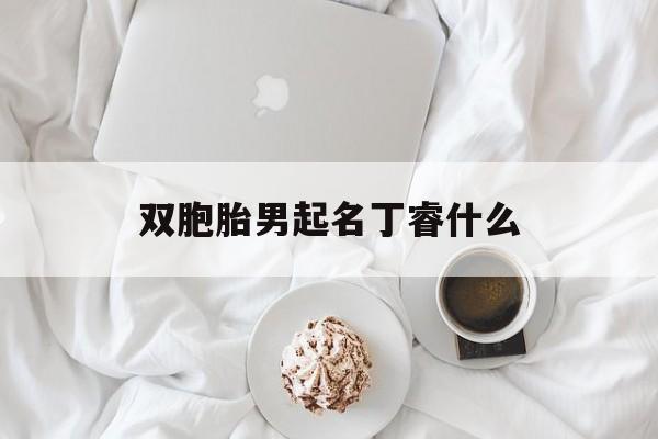 双胞胎男起名丁睿什么_(双胞胎女宝宝取名字)